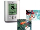Funk-Poolthermometer - Miami